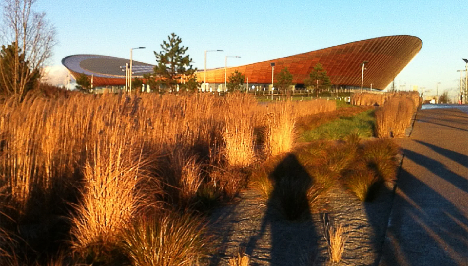 A photograph at sunset of the Olympic Stadium with shadows of people walking